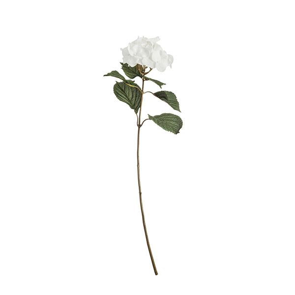Rama hortensia blanco | Muy Mucho Colombia