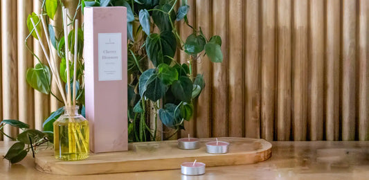 Ambientador de palitos: dónde ubicarlo en casa para lograr un aroma equilibrado y duradero