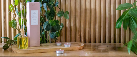 El arte de aromatizar tu hogar con mikados