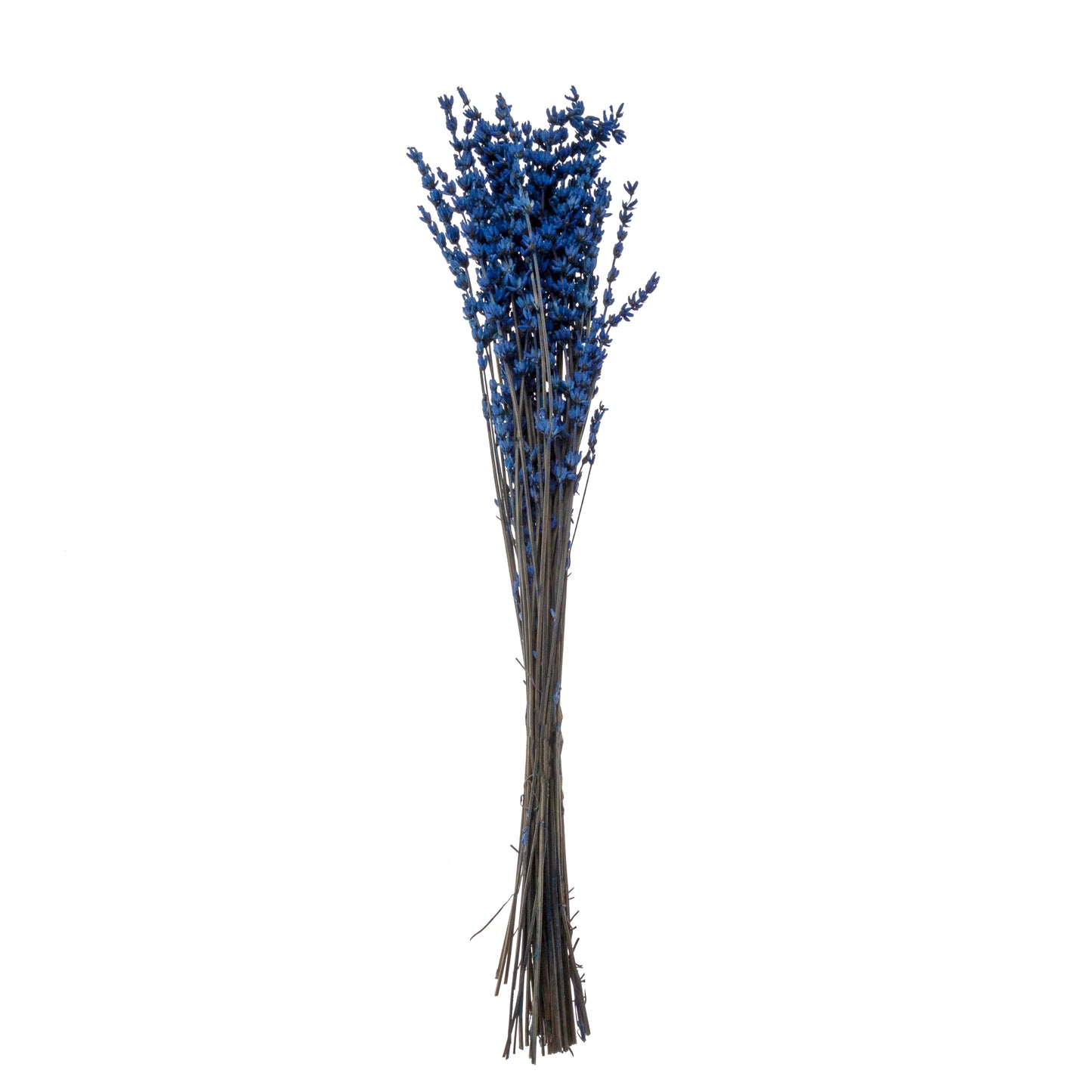 Flor preservada lavanda malva 50cm