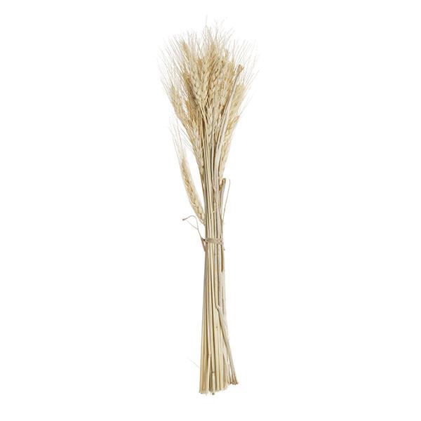 Bouquet wheat grass natural | Muy Mucho Colombia