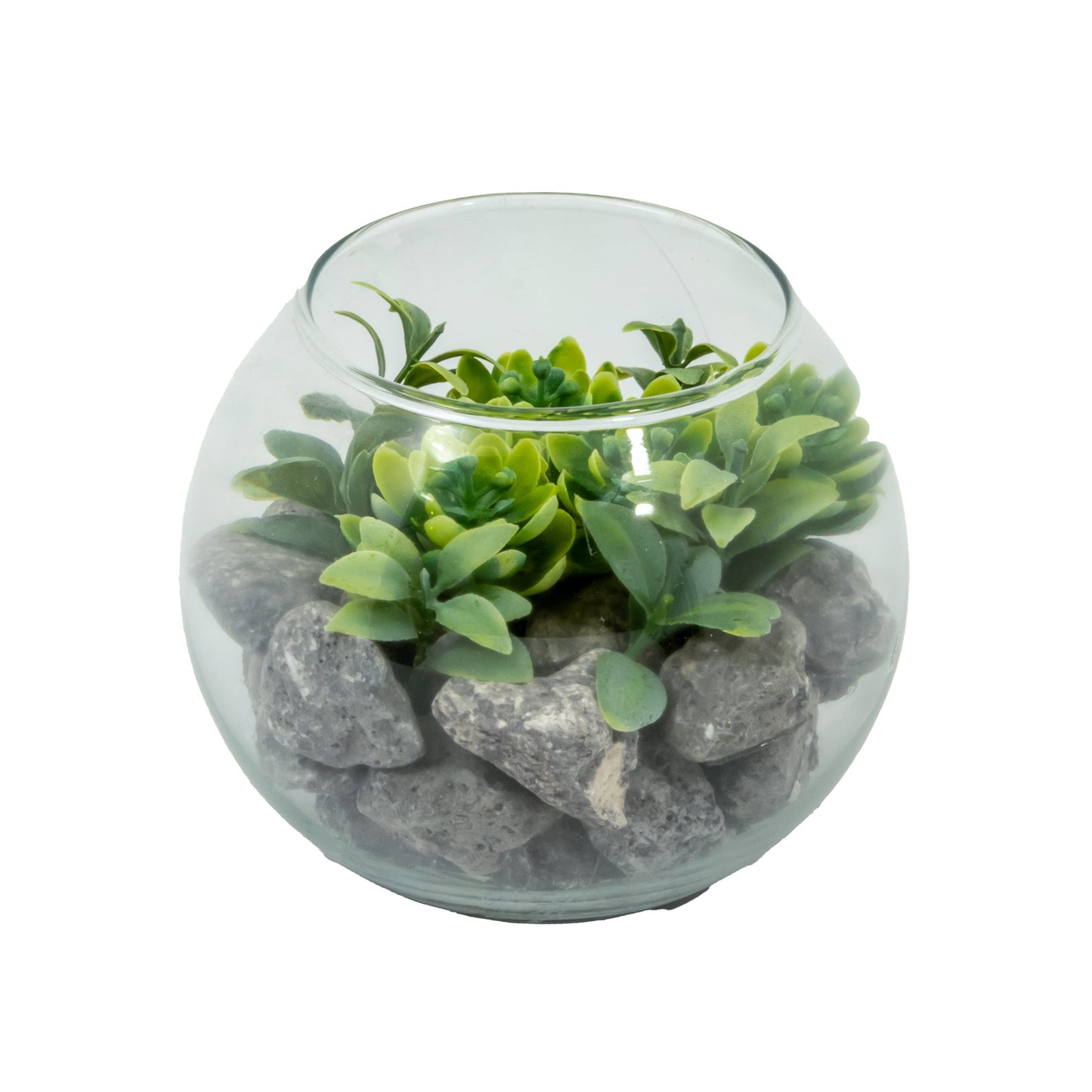 Planta verde en cristal | Muy Mucho Colombia
