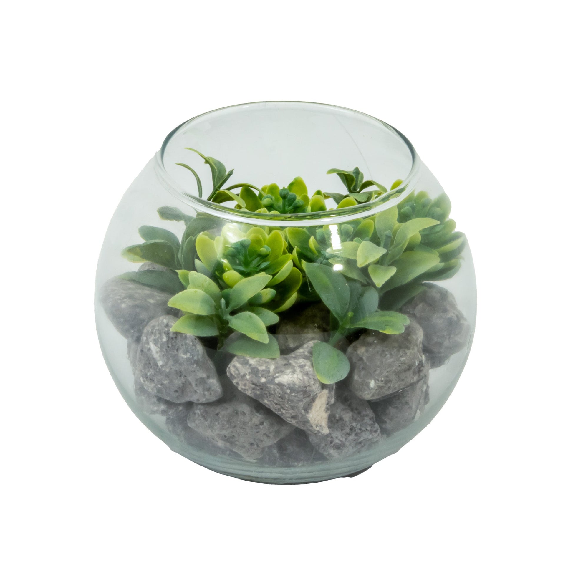 Planta verde en cristal | Muy Mucho Colombia
