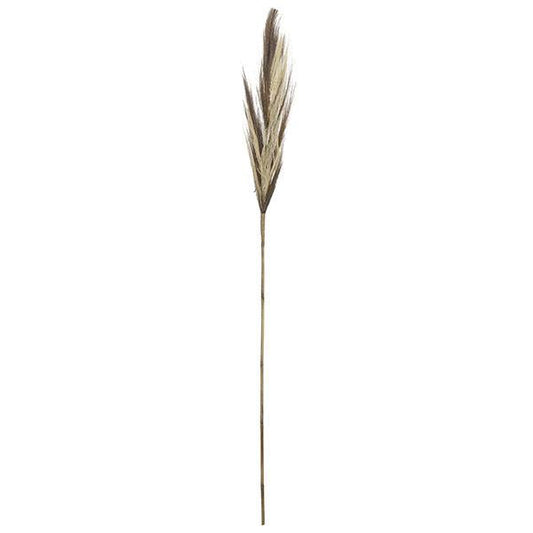 Rama broom grass | Muy Mucho Colombia