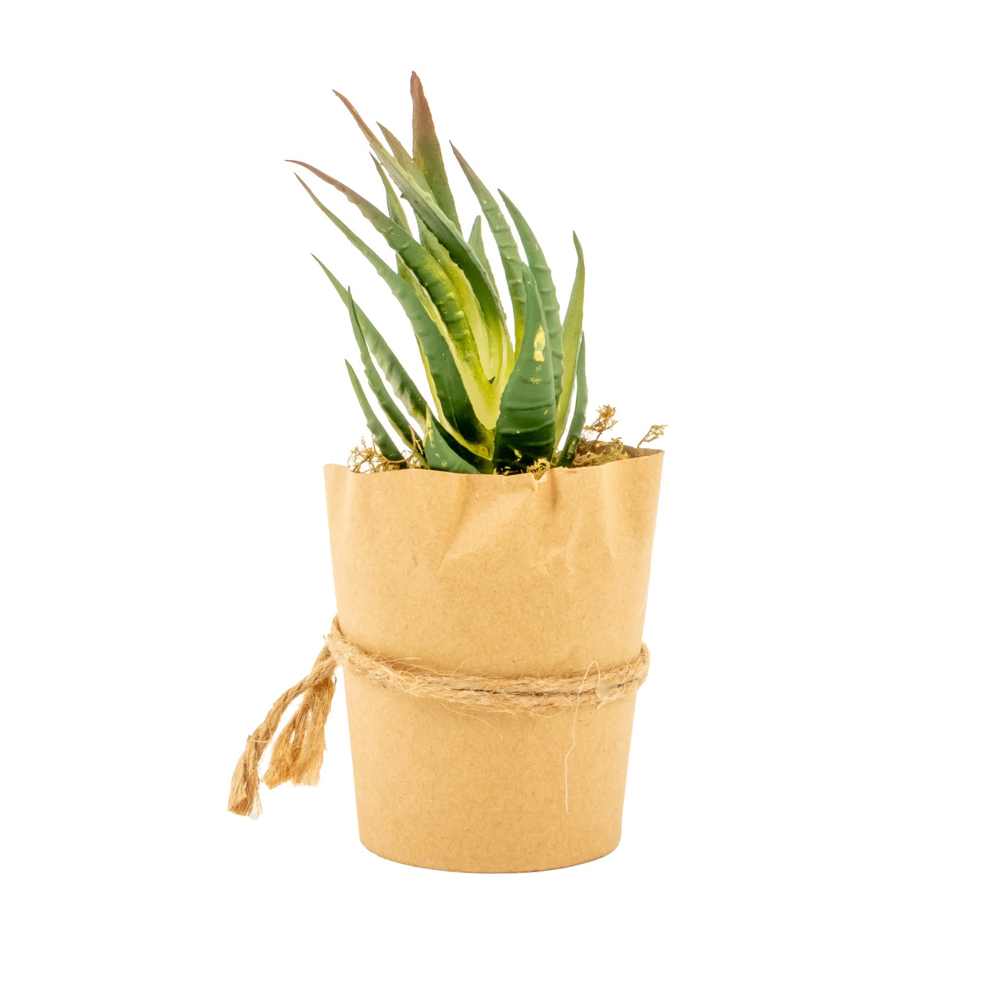 Planta artificial con maceta | Muy Mucho Colombia