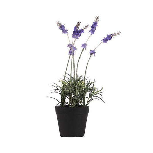 Maceta lavanda | Muy Mucho Colombia