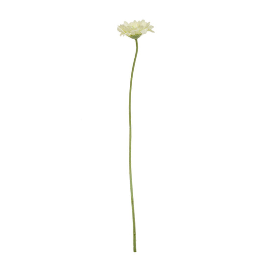 Rama gerbera verde | Muy Mucho Colombia
