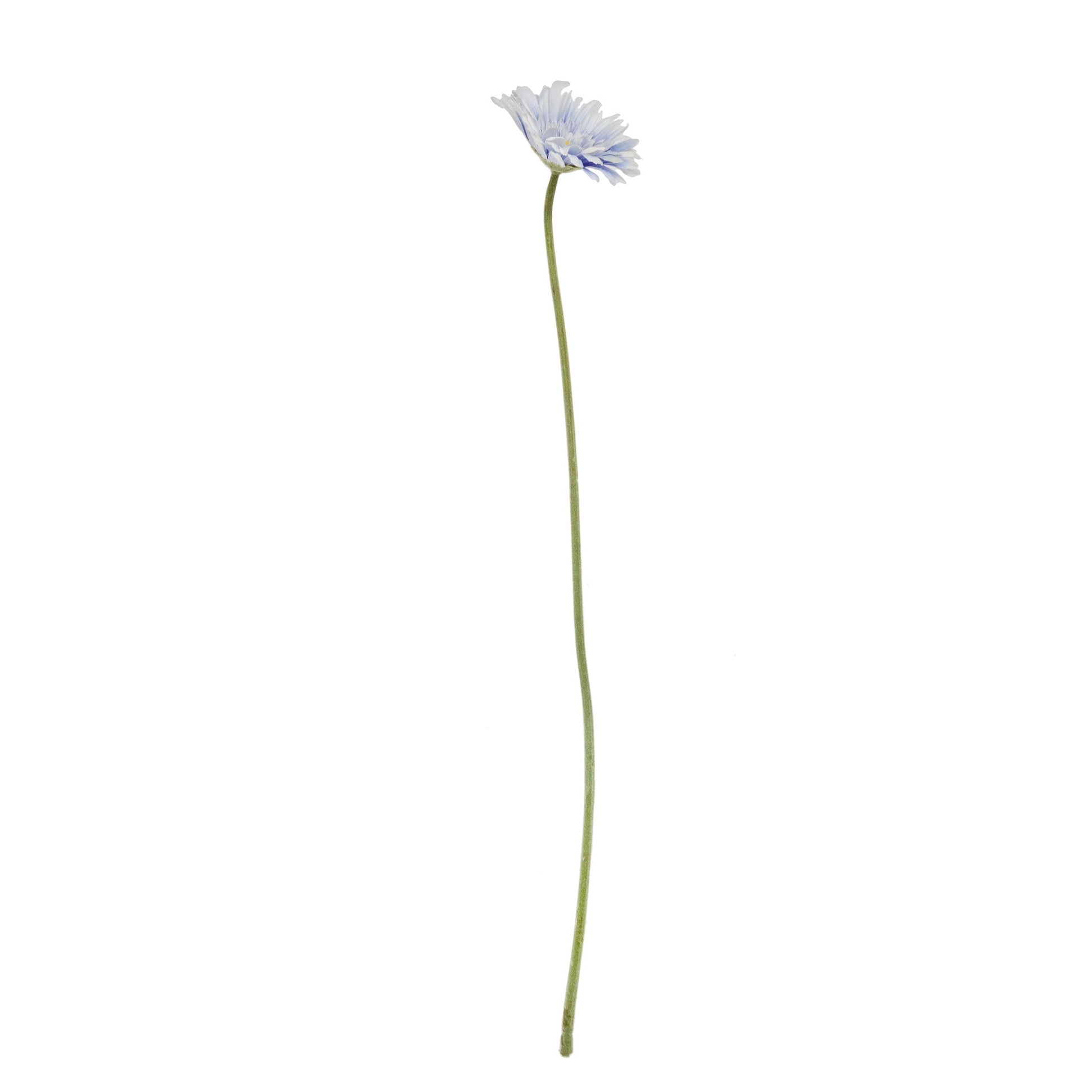 Rama gerbera violeta | Muy Mucho Colombia