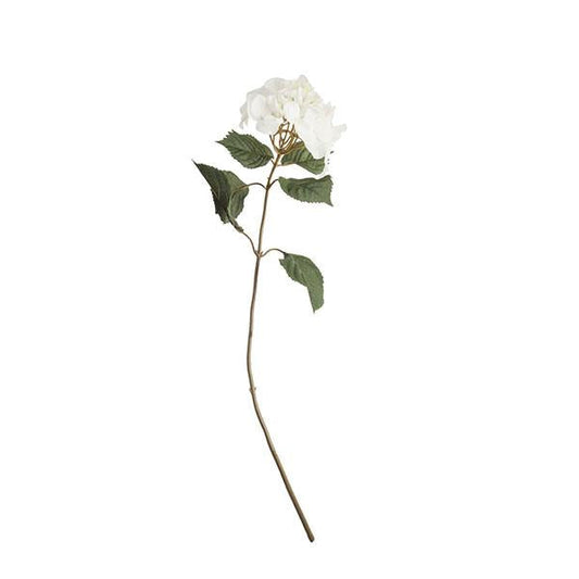 Rama hortensia crudo | Muy Mucho Colombia
