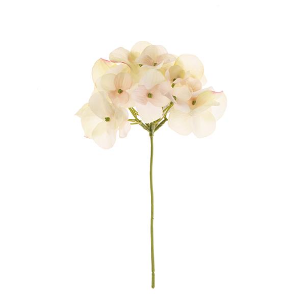 Rama hortensia melocotón | Muy Mucho Colombia