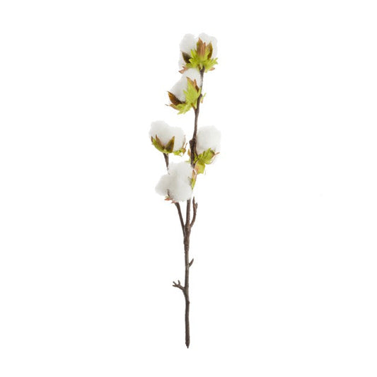 Rama gossypium blanco | Muy Mucho Colombia