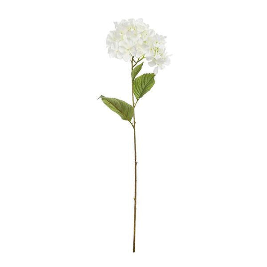 Rama hortensia crudo | Muy Mucho Colombia