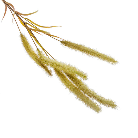 Rama setaria grass verde | Muy Mucho Colombia