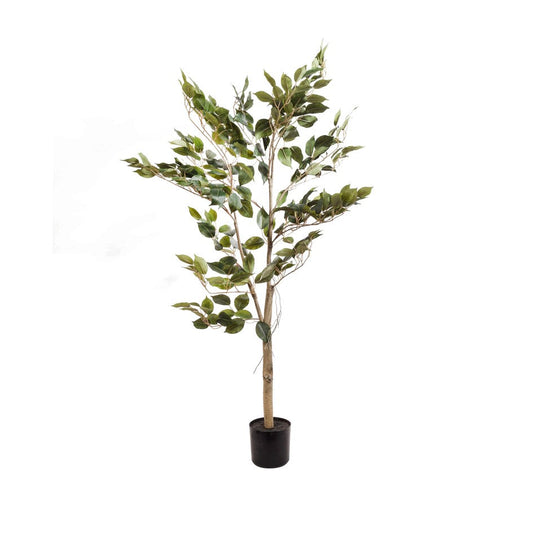 Arbol ficus 120 cm / ve.