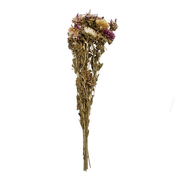 Ramo de flores secas | Muy Mucho Colombia