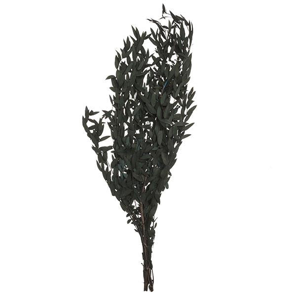 Ramo de eucalyptus | Muy Mucho Colombia