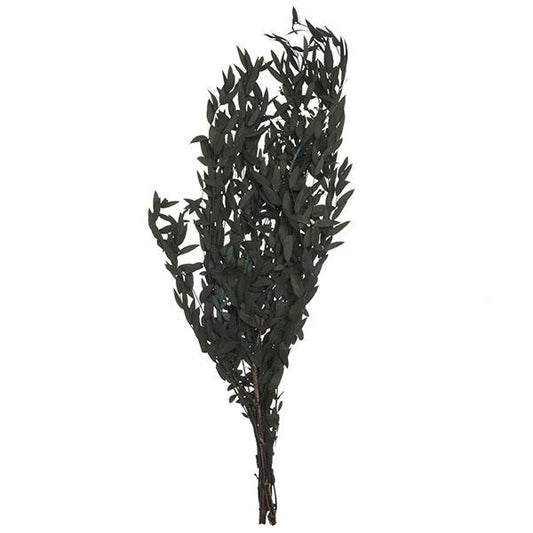 Ramo de eucalyptus | Muy Mucho Colombia