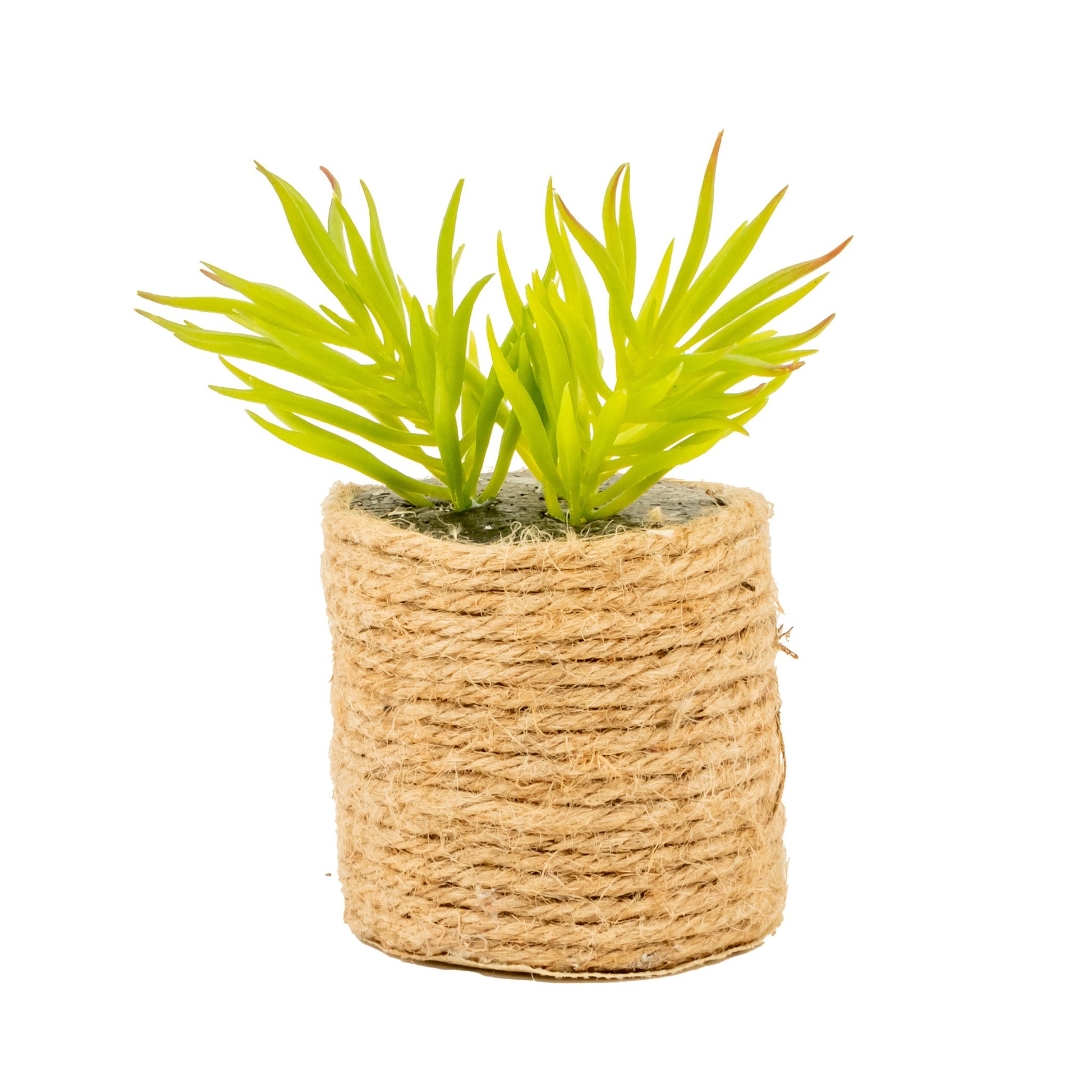 Cactus artificial con maceta | Muy Mucho Colombia