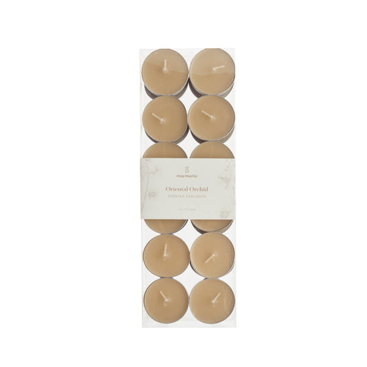 Pack 24 velas te oriental orchid