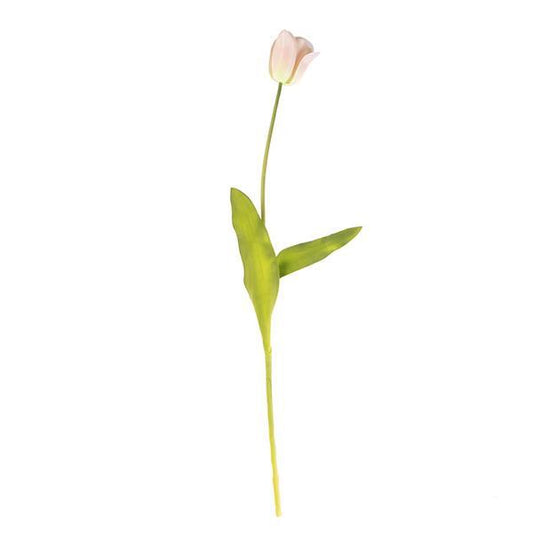 Tulipán 75cm cr./melocotón